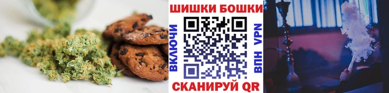 Купить закладки  Лермонтов  Cannafood конопля 