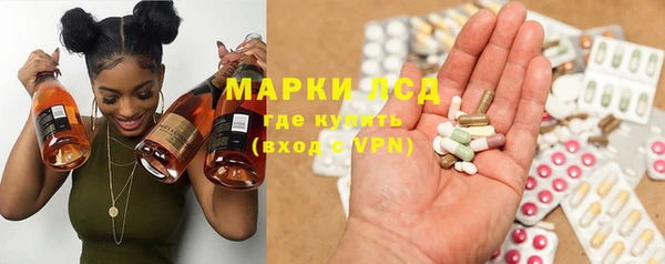 гидра Богданович