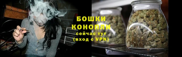 амф Богородск