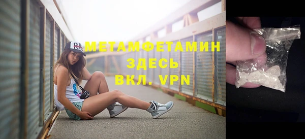 гидра Богданович