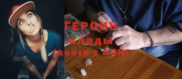 гидра Богданович