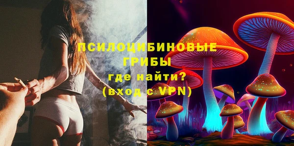 ПСИЛОЦИБИНОВЫЕ ГРИБЫ Богородицк