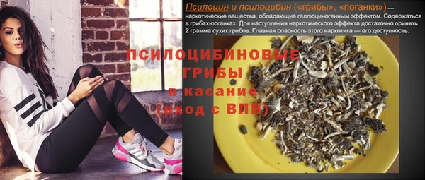 гидра Богданович
