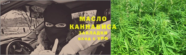 амф Богородск