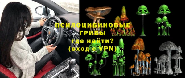 гидра Богданович