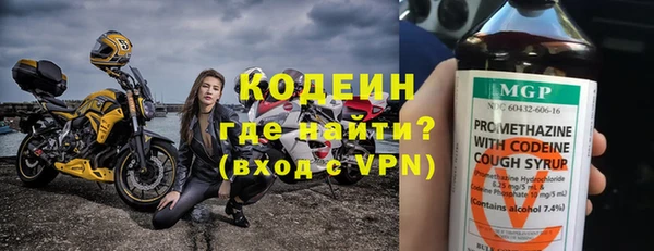 гидра Богданович