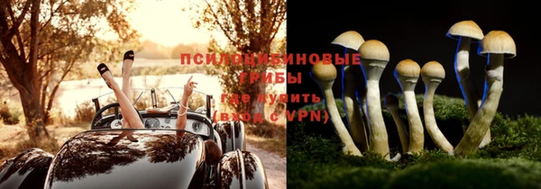 ПСИЛОЦИБИНОВЫЕ ГРИБЫ Богородицк