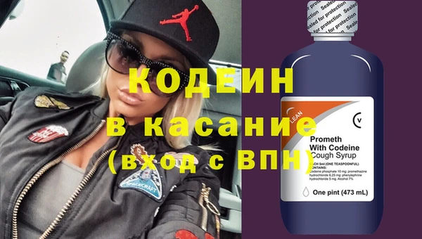 гидра Богданович