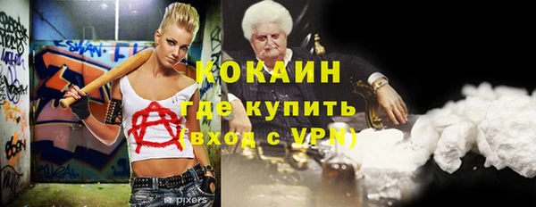 гидра Богданович
