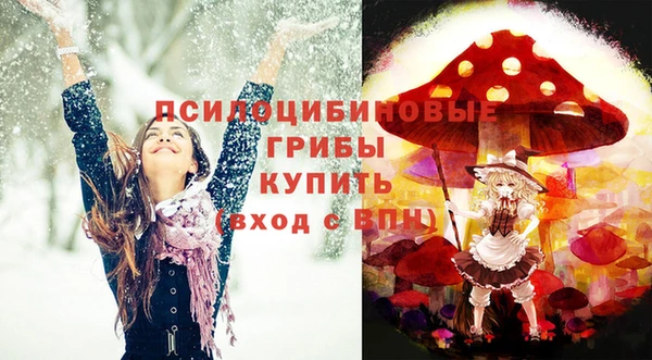 амф Богородск