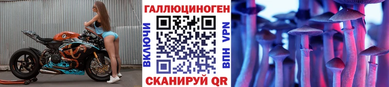 Галлюциногенные грибы GOLDEN TEACHER  Купить  Лермонтов 